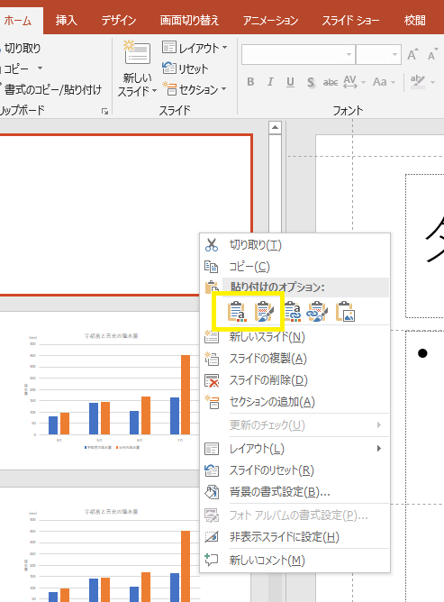 貼り付けオプション